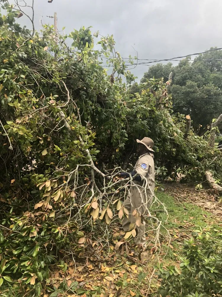 Trusted lawn care service near you in Lafayette, LA by JP's Concrete & Lawn Service