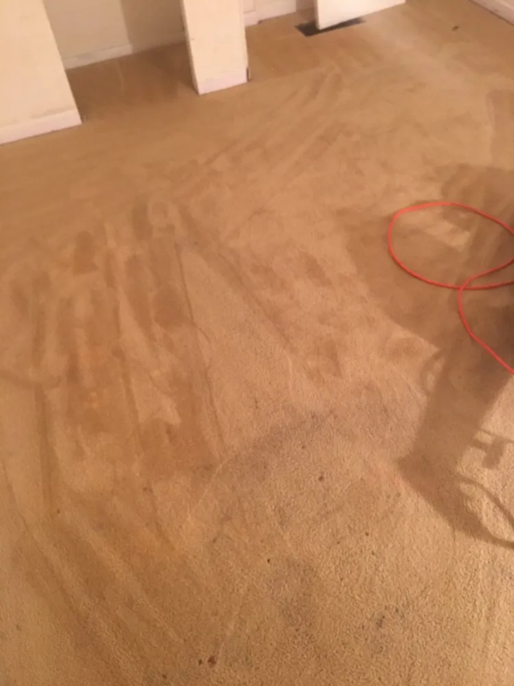 Top-rated residential landscaping in Mendota, IL by Jps Discount Lawn Care