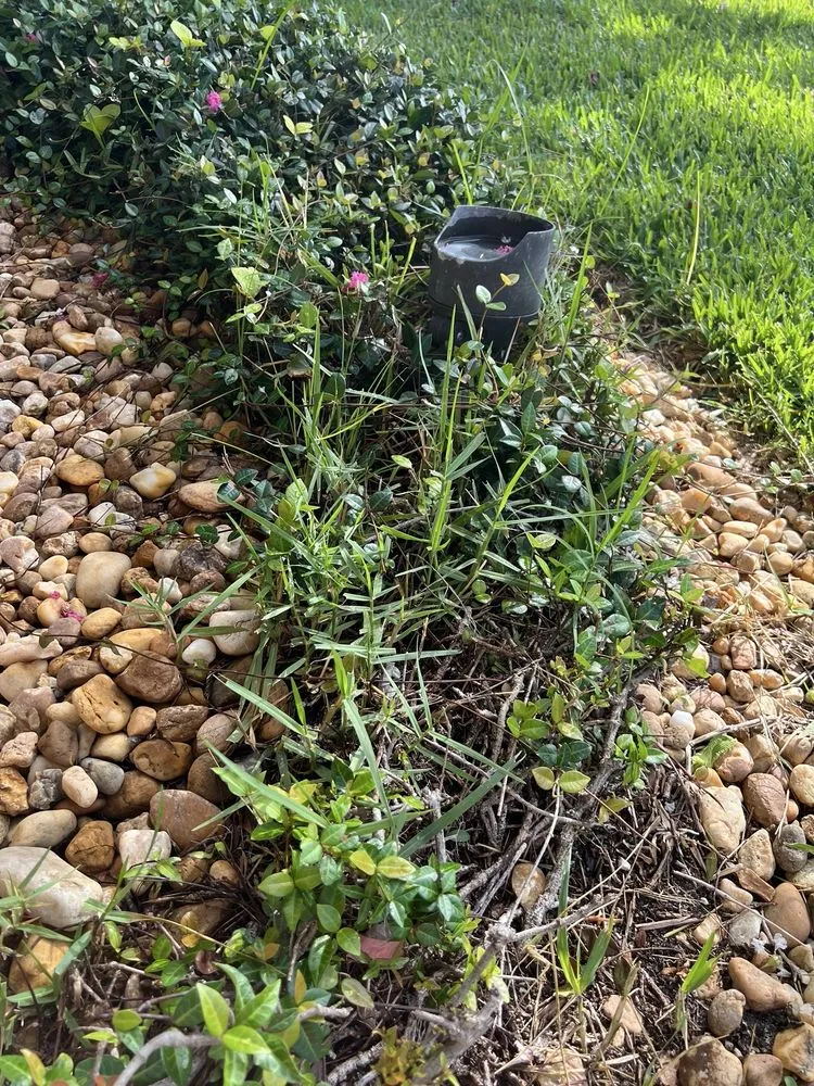 Trusted residential landscaping in Orlando, FL - JP’s Green & Clean Landscaping and Lawn Service