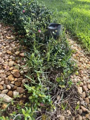 JP’s Green & Clean Landscaping and Lawn Service Logo