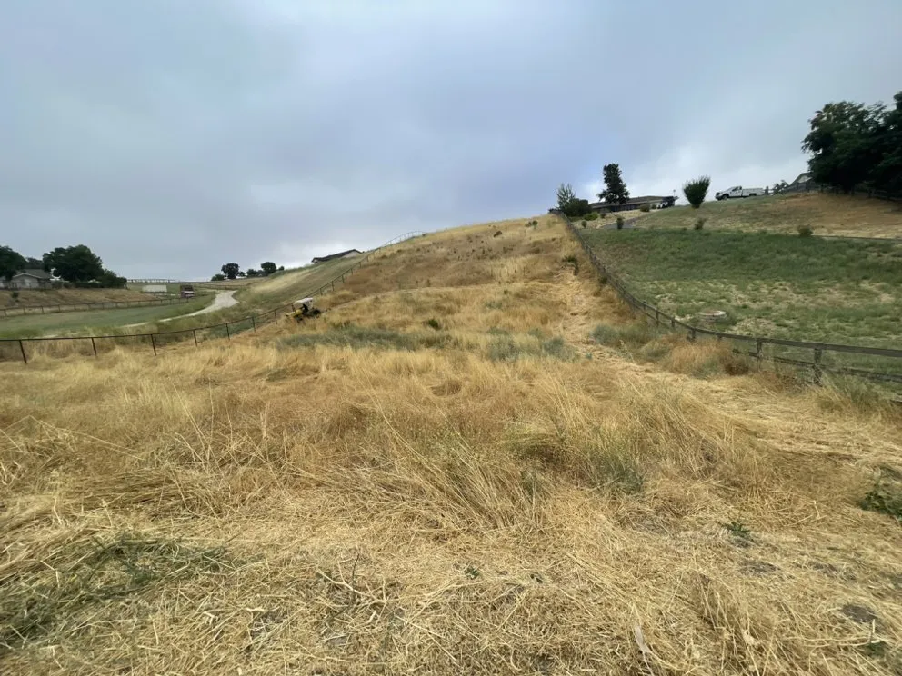 Trusted yard maintenance in Paso Robles, CA by JP's Landscape & Handyman Services