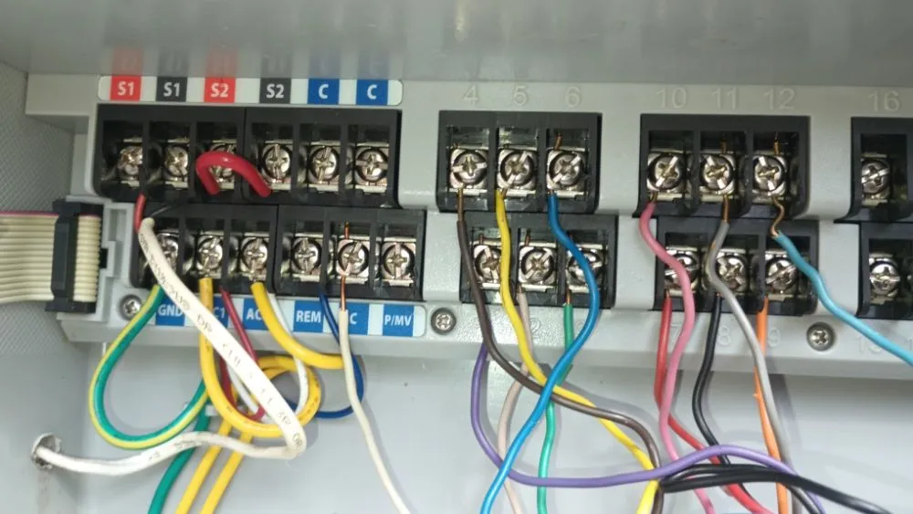 Affordable yard cleanup service in Lutz, FL by JP's Landscape and Irrigation Restorations