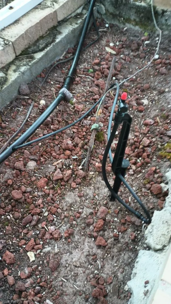 Custom yard cleanup service for outdoor upgrades in Lutz, FL by JP's Landscape and Irrigation Restorations