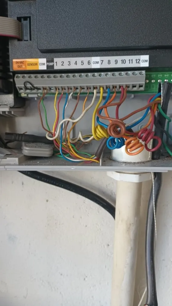 Custom garden landscaping experts serving Lutz, FL - JP's Landscape and Irrigation Restorations