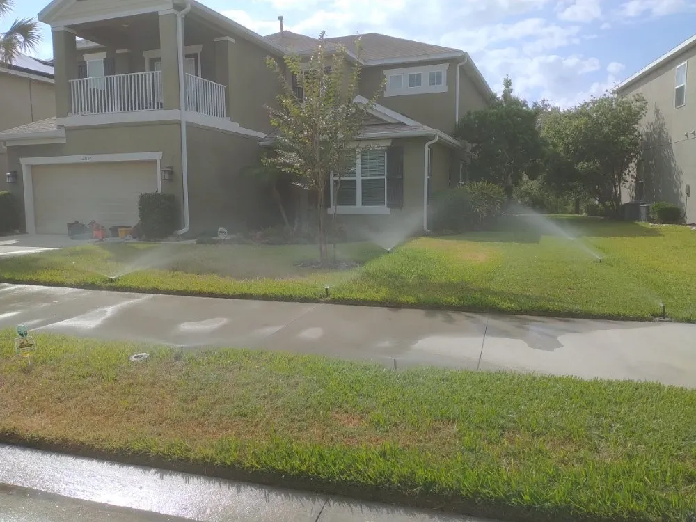 Custom lawn care service experts serving Lutz, FL - JP's Landscape and Irrigation Restorations