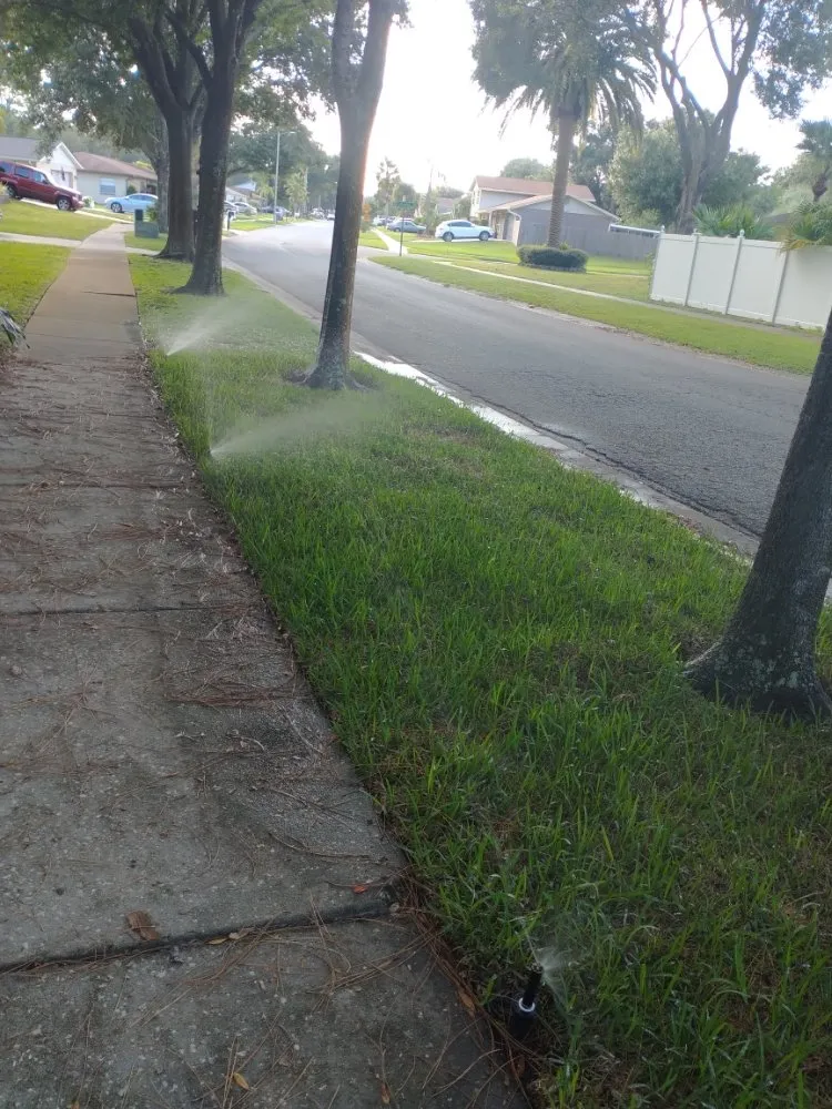 Local landscape installation for beautiful yards in Lutz, FL by JP's Landscape and Irrigation Restorations