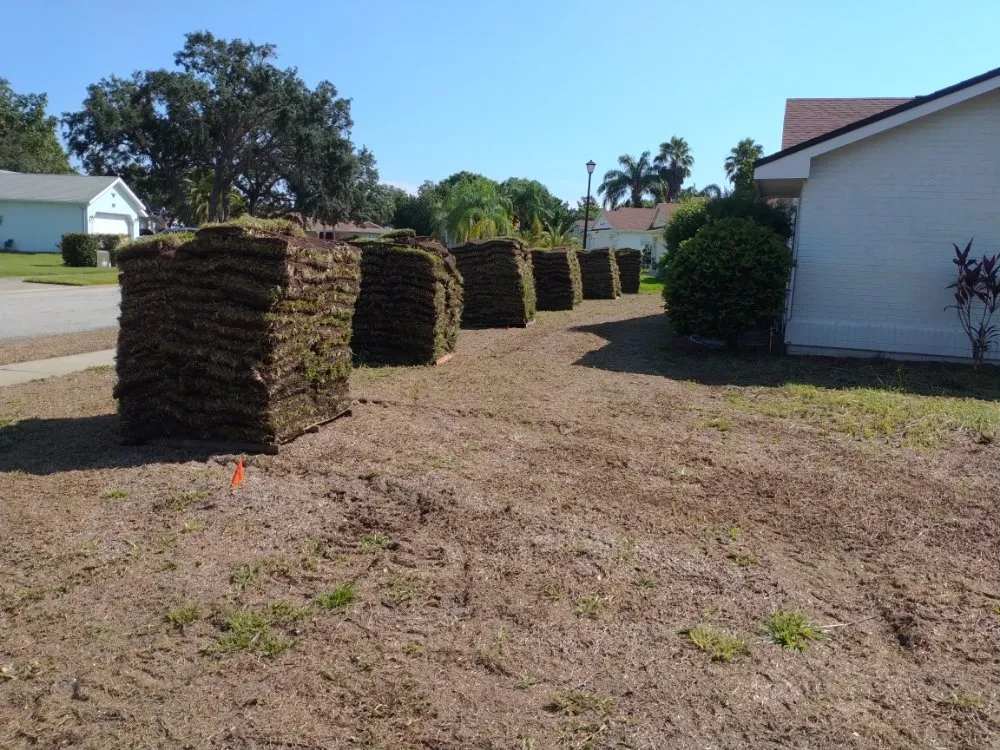 Reliable yard cleanup service in Lutz, FL - JP's Landscape and Irrigation Restorations