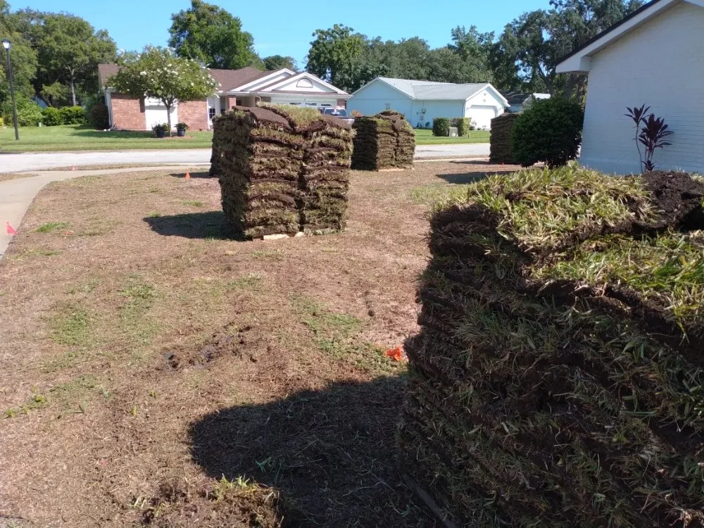 Professional landscape design in Lutz, FL - JP's Landscape and Irrigation Restorations