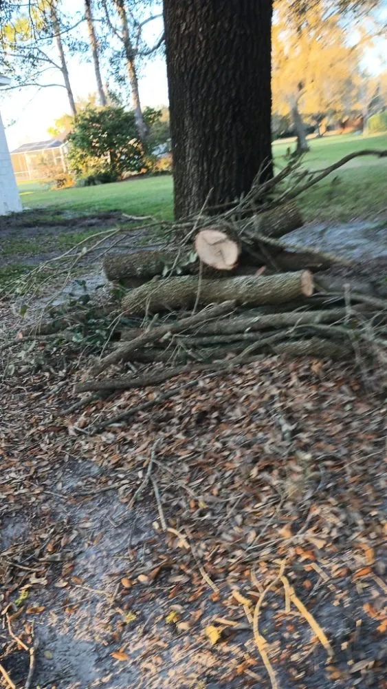 Trusted outdoor landscaping for residential properties across Lutz, FL - JP's Landscape and Irrigation Restorations