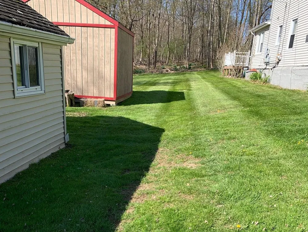 Expert yard maintenance in Newburgh, NY by JPS Landscaping & Junk Removal llc
