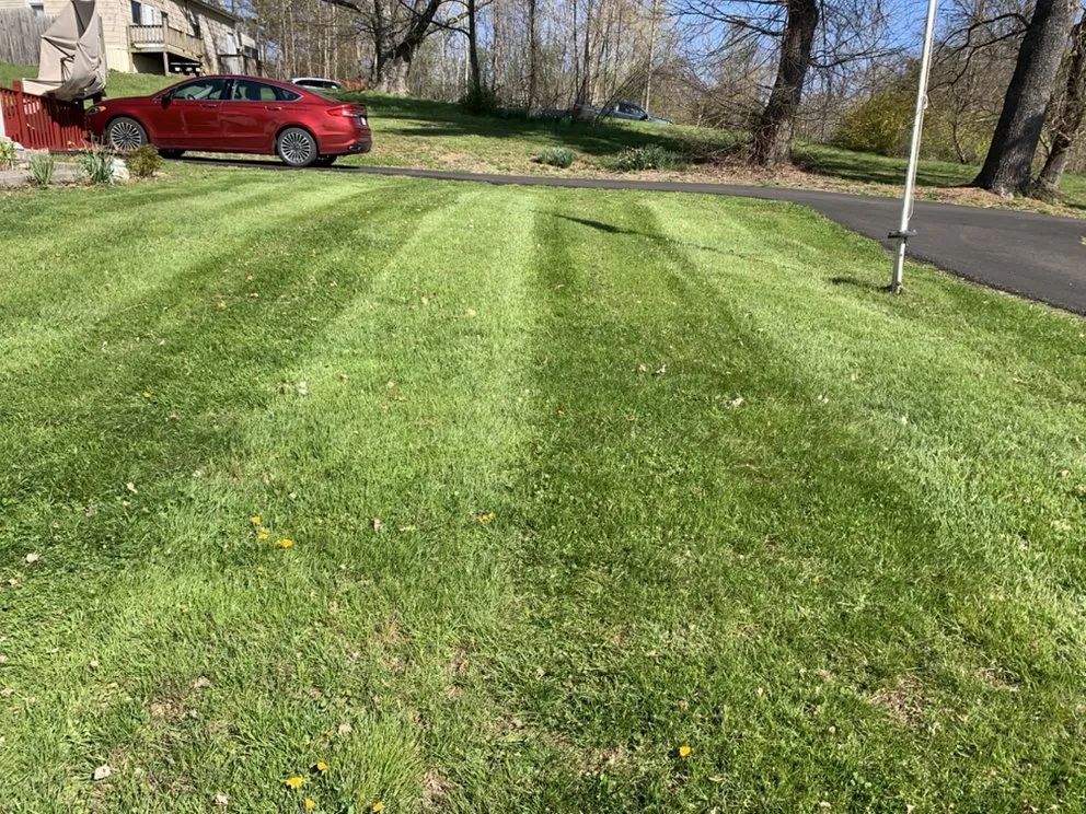 Reliable yard cleanup service for beautiful yards across Newburgh, NY - JPS Landscaping & Junk Removal llc