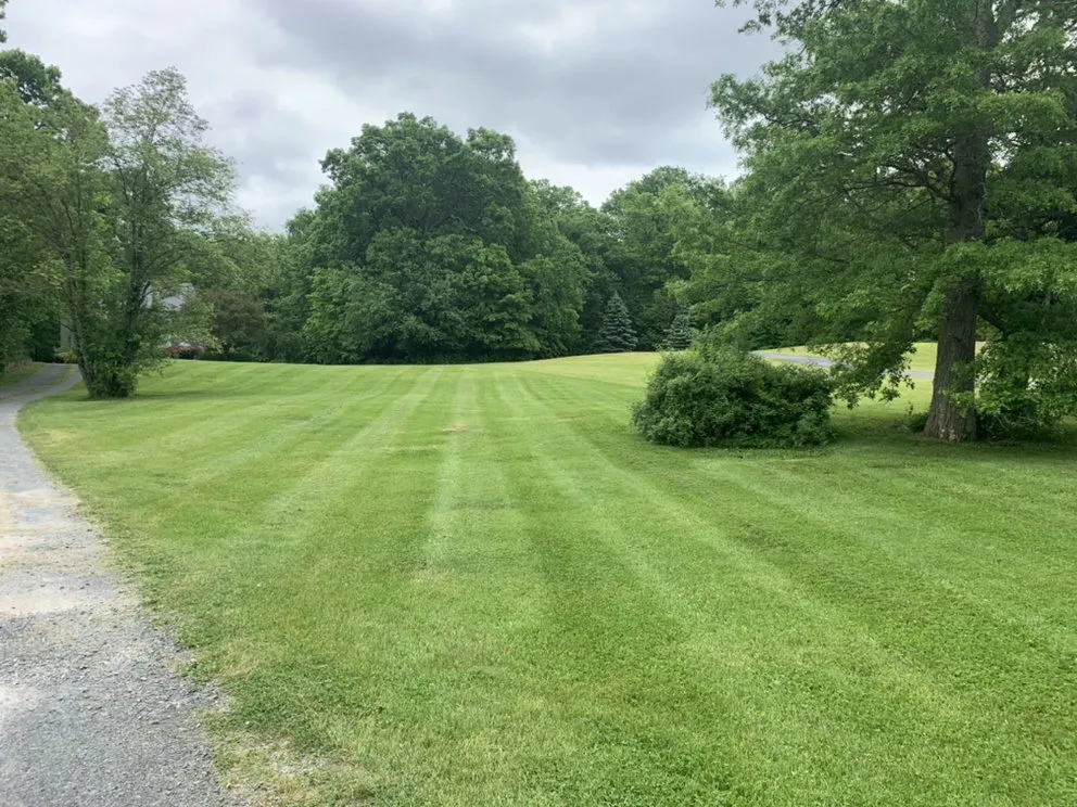 Custom yard maintenance in Newburgh, NY by JPS Landscaping & Junk Removal llc