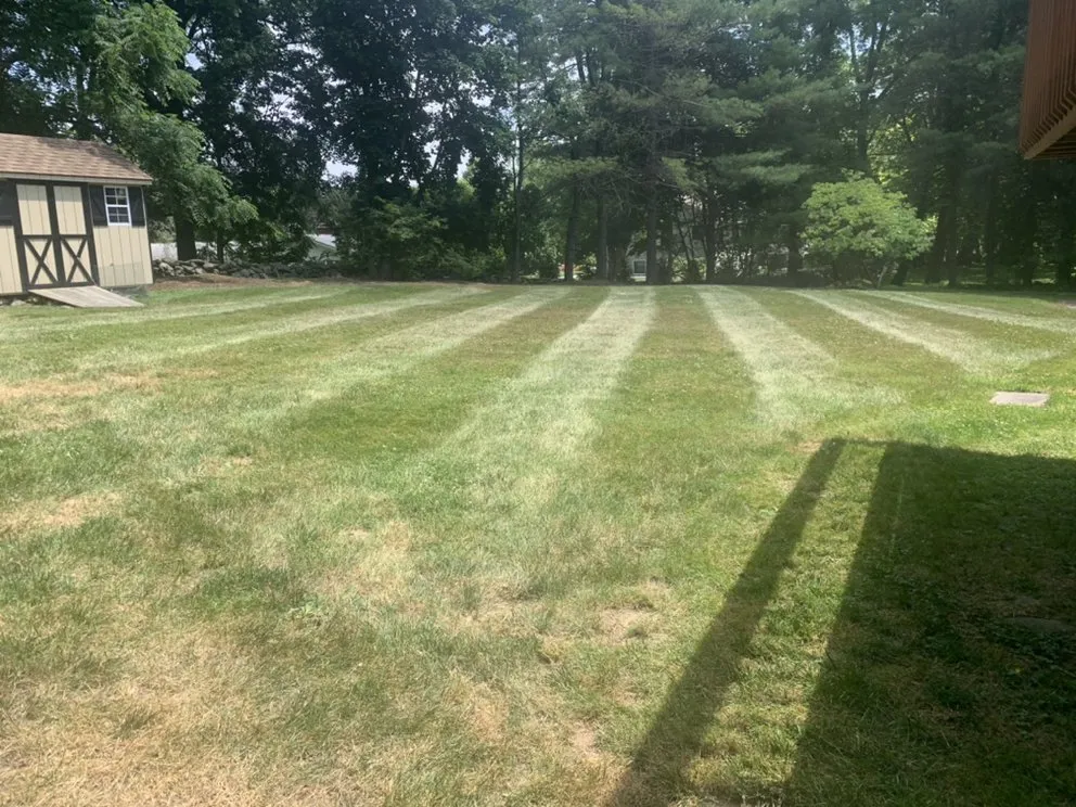 Local landscape design in Newburgh, NY - JPS Landscaping & Junk Removal llc