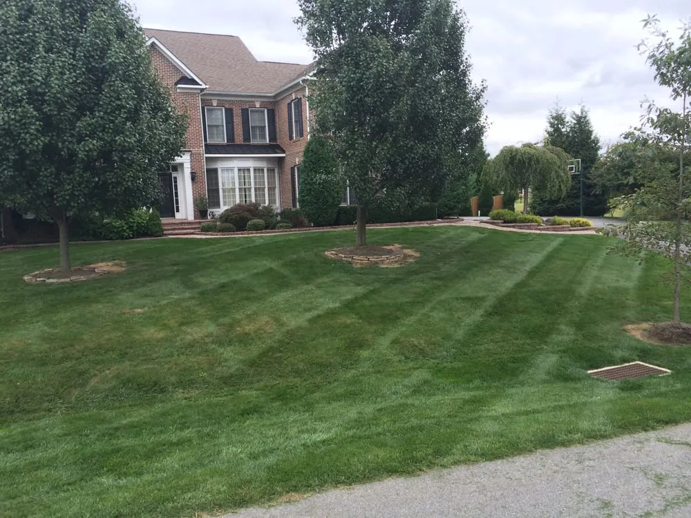 Top-rated landscaping services in Chester, PA - JPS Landscaping & Lawn Care