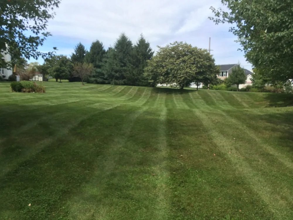 Expert residential landscaping for beautiful yards in Chester, PA by JPS Landscaping & Lawn Care