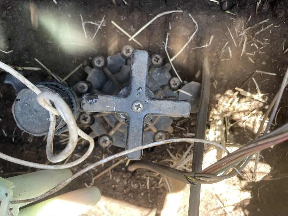 Professional residential landscaping in McCamey, TX - JP’s Landscaping & Sprinkler Repair