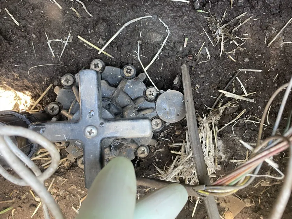 Local yard cleanup service for outdoor upgrades across McCamey, TX - JP’s Landscaping & Sprinkler Repair