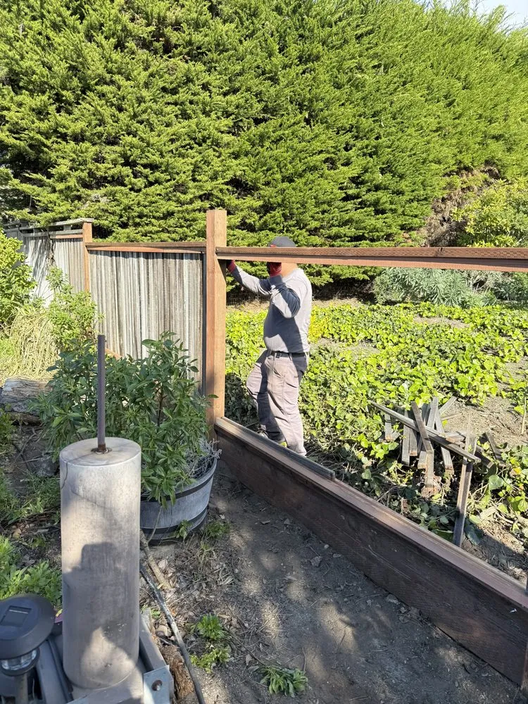 Affordable landscaping services for year-round maintenance across Pacific Grove, CA - Jps Landscaping and Junk Removal