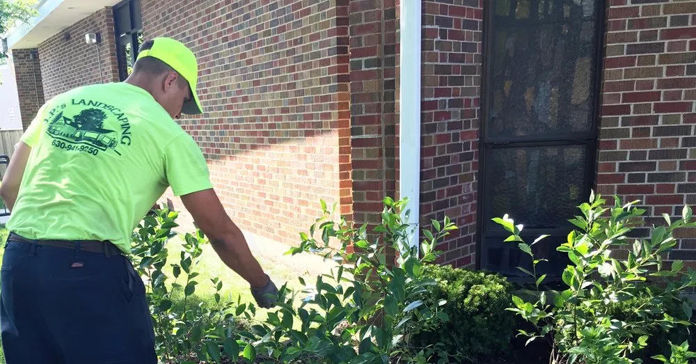 Custom lawn care service experts serving Elmhurst, IL - JP's Landscaping