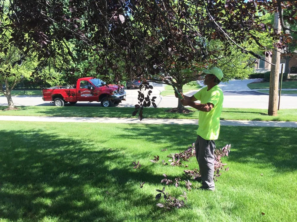 Reliable yard maintenance for beautiful yards in Elmhurst, IL by JP's Landscaping