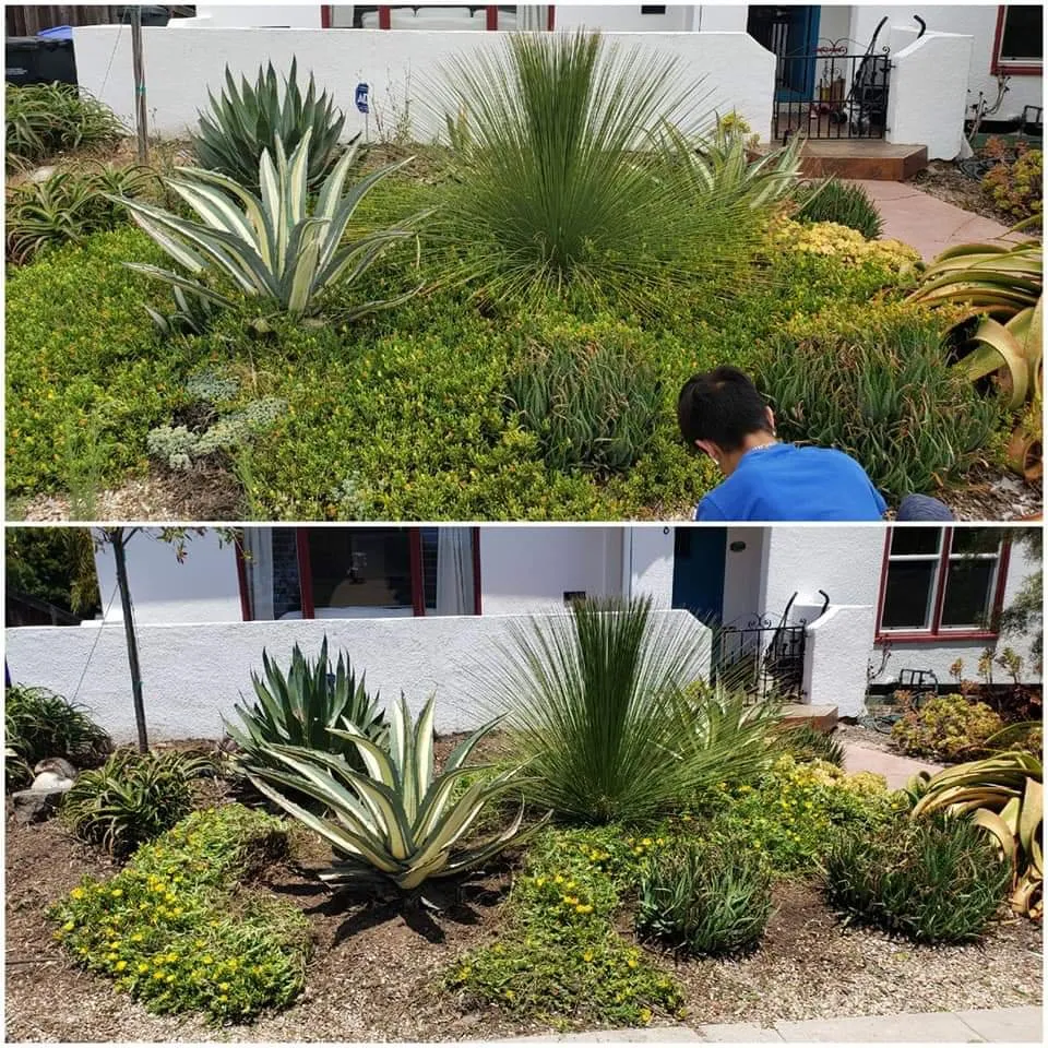 Reliable lawn mowing service experts serving San Diego, CA - Jp's Landscaping