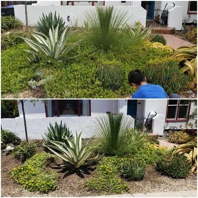 Jp's Landscaping Logo