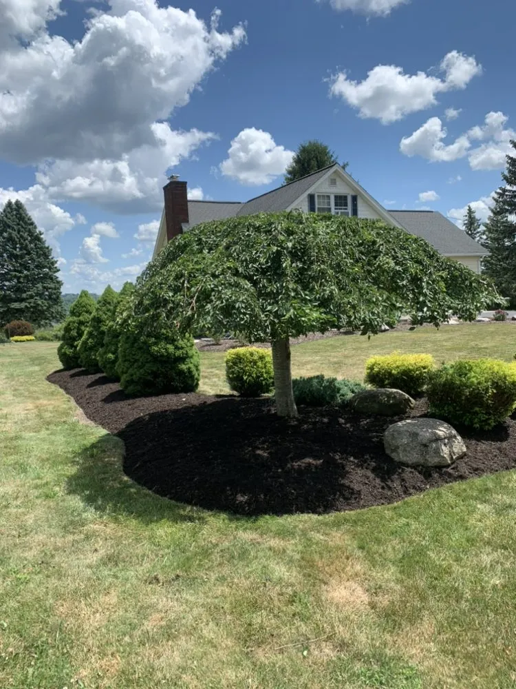 Trusted landscaping services for homes across Syracuse, NY - Jp’s Landscaping