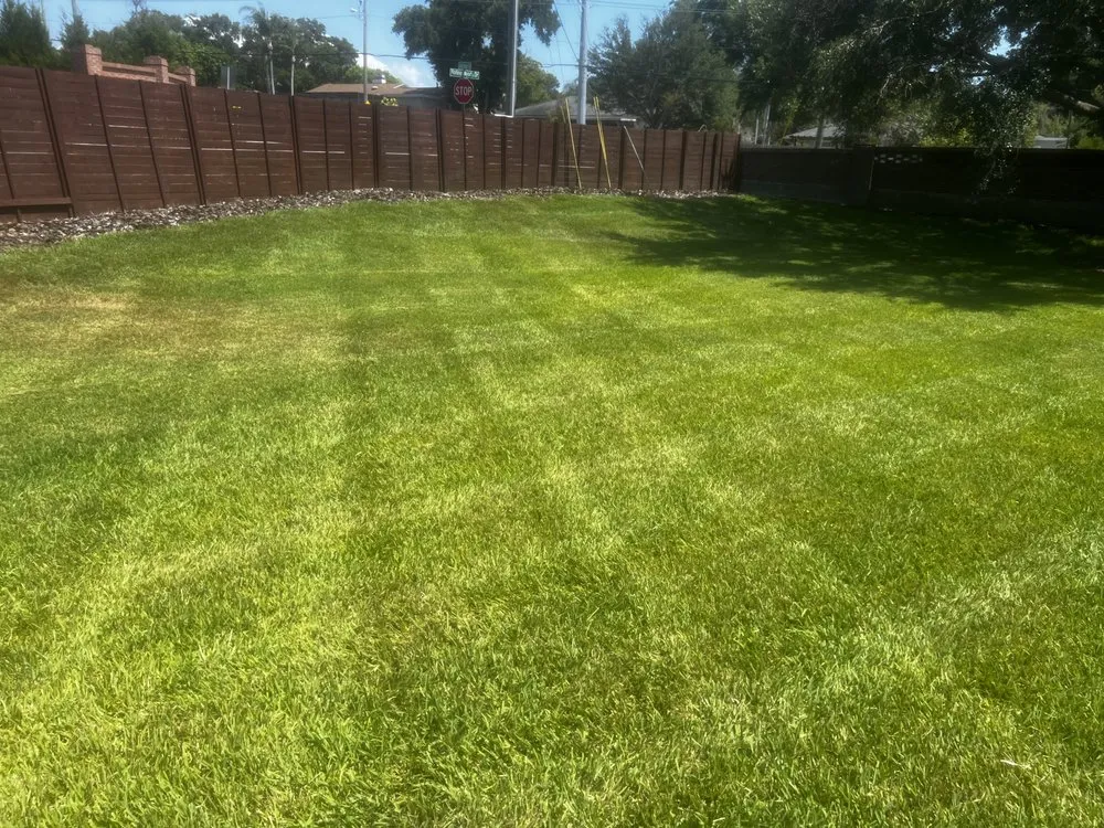 Reliable outdoor landscaping experts serving Safety Harbor, FL - Jp’s Lawn & Landscaping