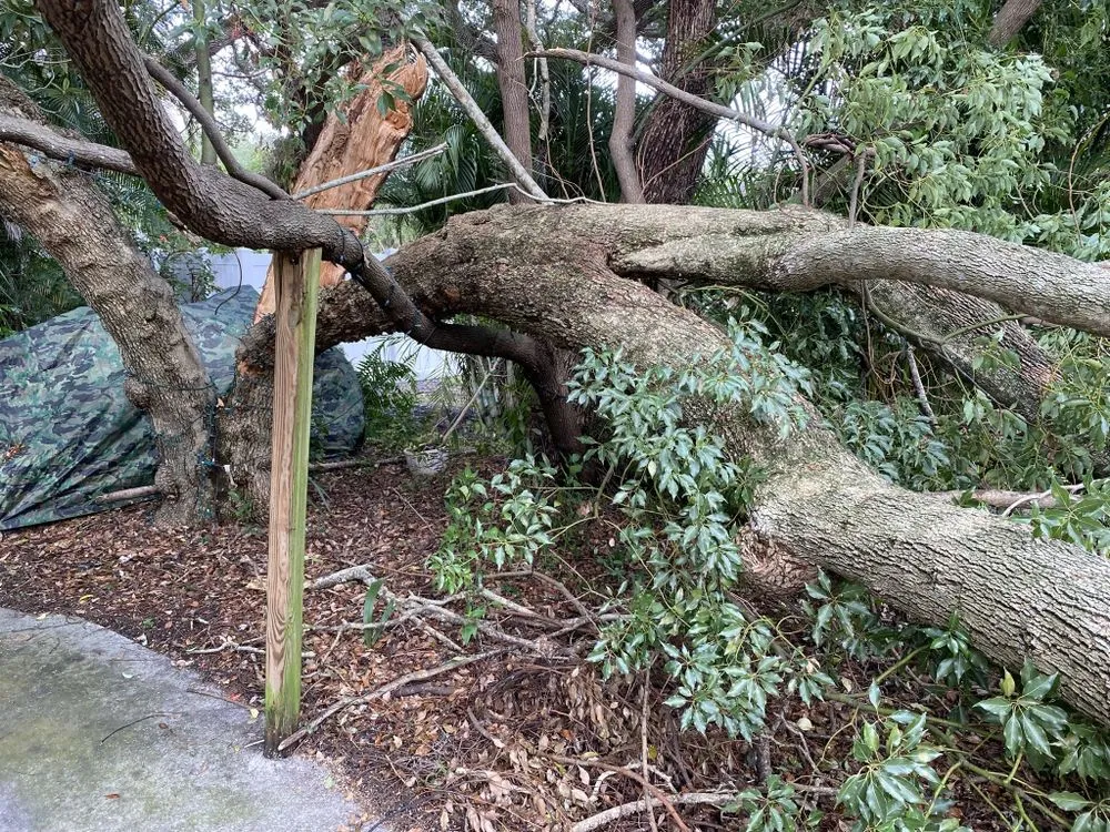 Expert landscaping services in Safety Harbor, FL - Jp’s Lawn & Landscaping