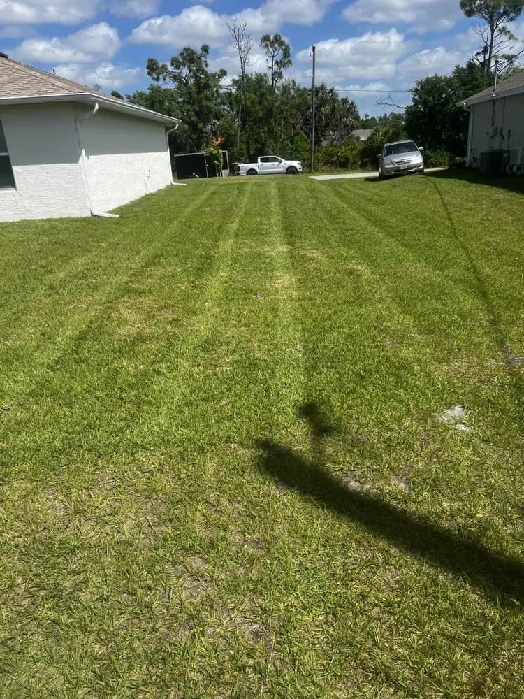 Trusted yard maintenance near you in Safety Harbor, FL by Jp’s Lawn & Landscaping