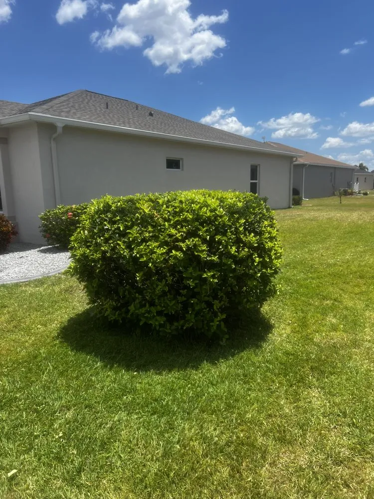 Top-rated garden landscaping in Safety Harbor, FL by Jp’s Lawn & Landscaping