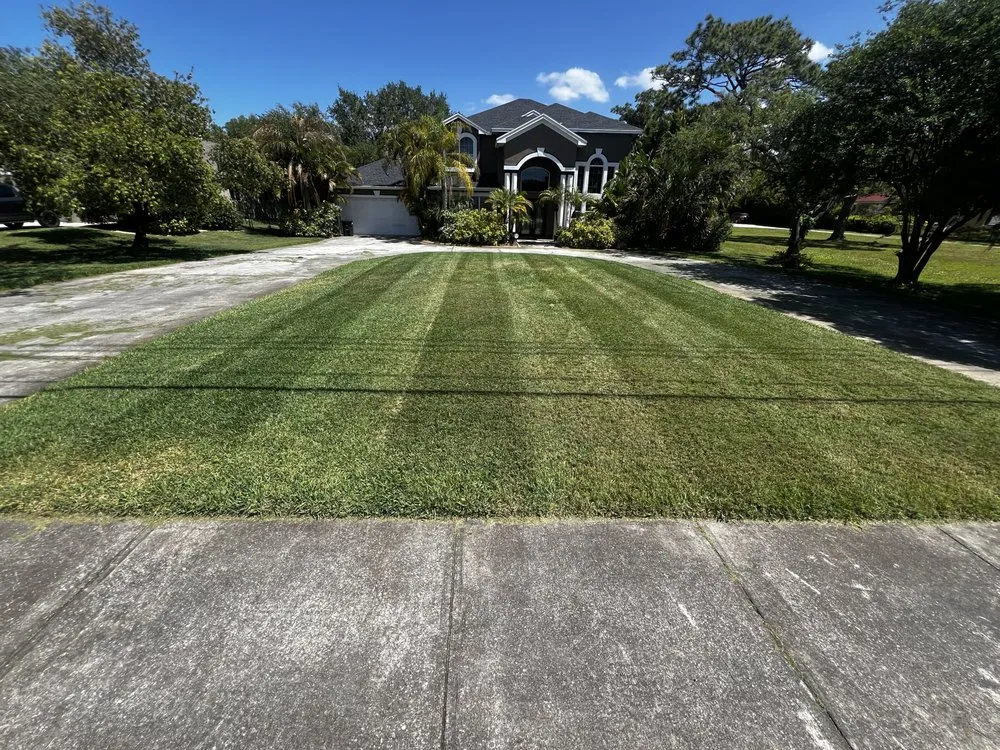Trusted yard cleanup service near you across Safety Harbor, FL - Jp’s Lawn & Landscaping