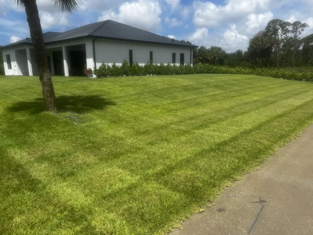 Trusted lawn care service for outdoor upgrades across Safety Harbor, FL - Jp’s Lawn & Landscaping