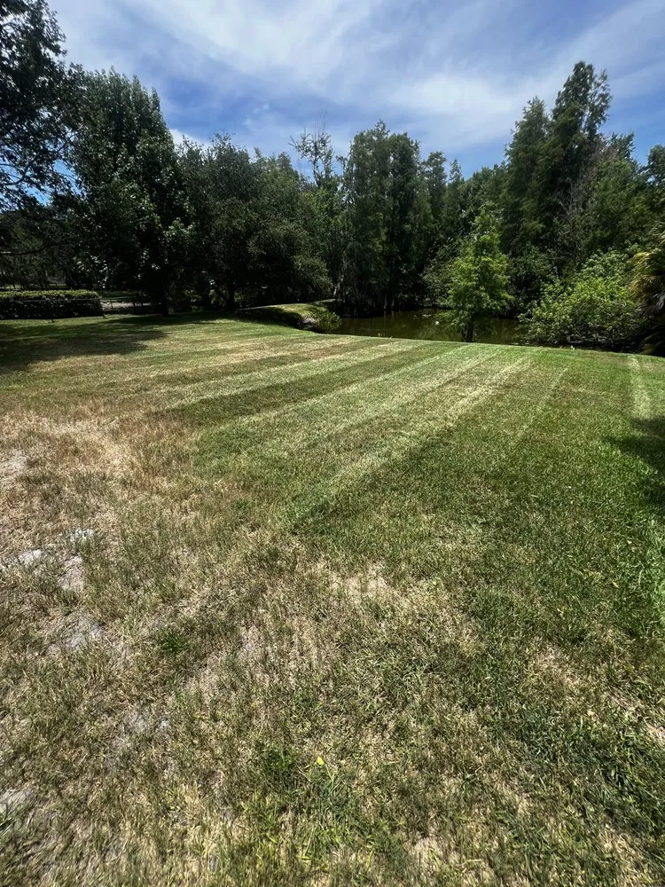 Custom landscape installation in Safety Harbor, FL by Jp’s Lawn & Landscaping