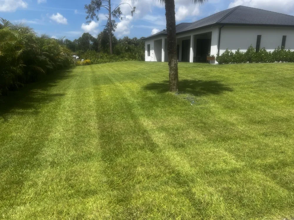 Custom lawn mowing service in Safety Harbor, FL - Jp’s Lawn & Landscaping