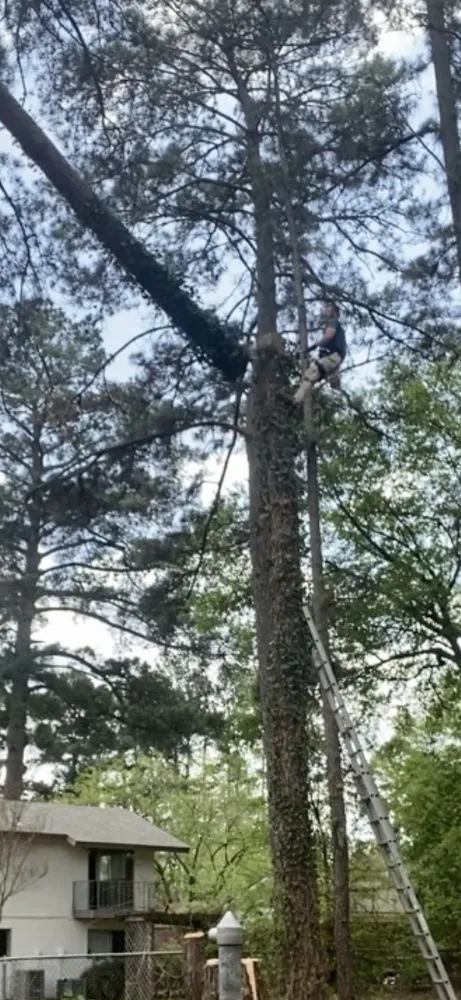 Expert lawn mowing service in Winnsboro, TX - JP's Lawn & Tree