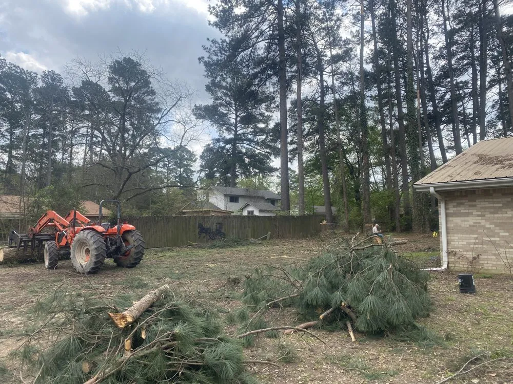 Reliable landscape design in Winnsboro, TX - JP's Lawn & Tree