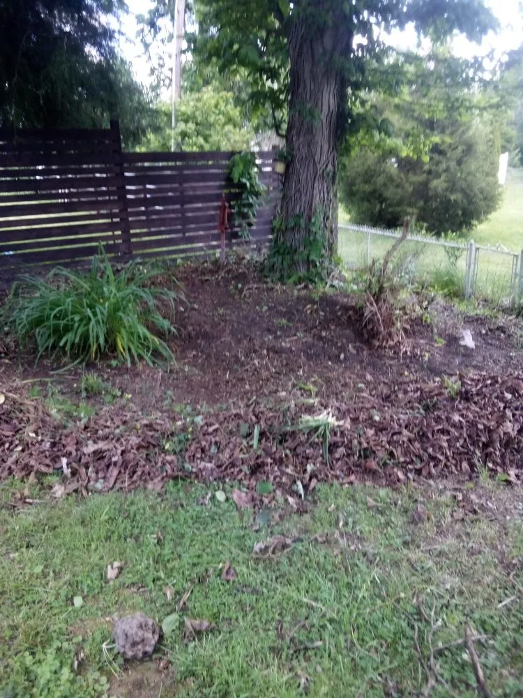 Trusted lawn care service for homes in Bloomington, IN by Jps Lawn Care