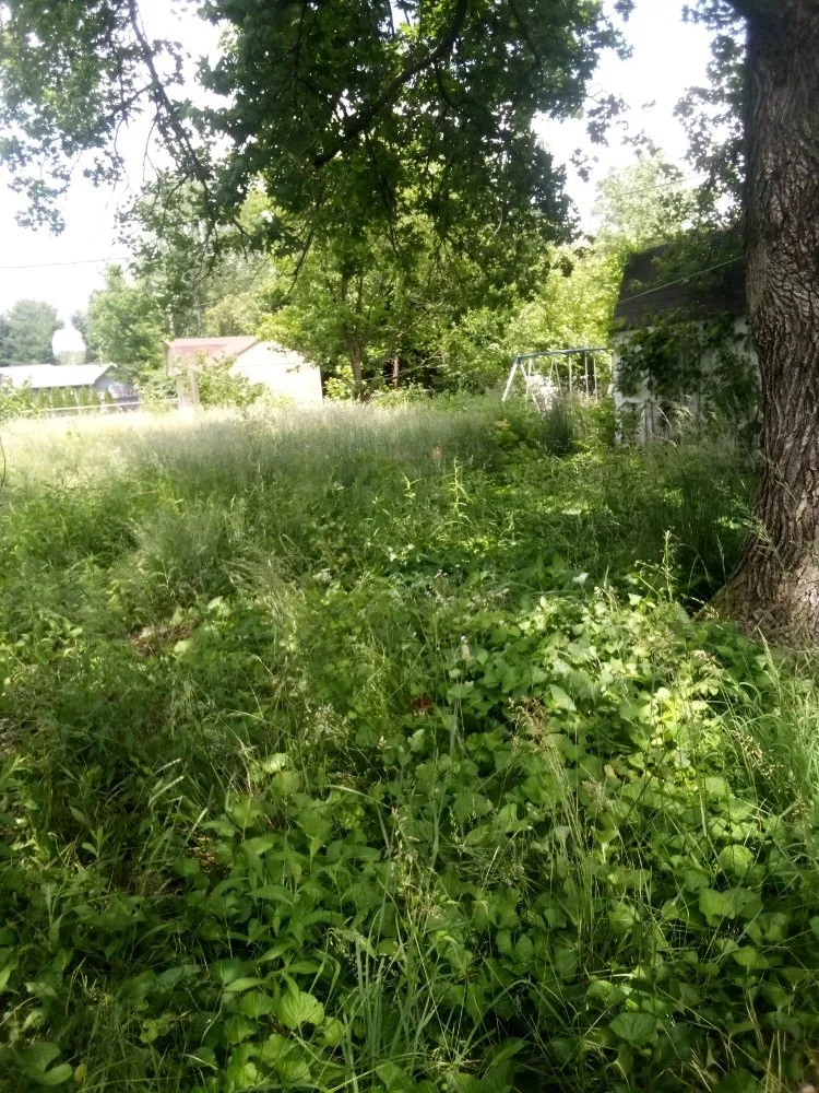 Local yard cleanup service for residential properties across Bloomington, IN - Jps Lawn Care