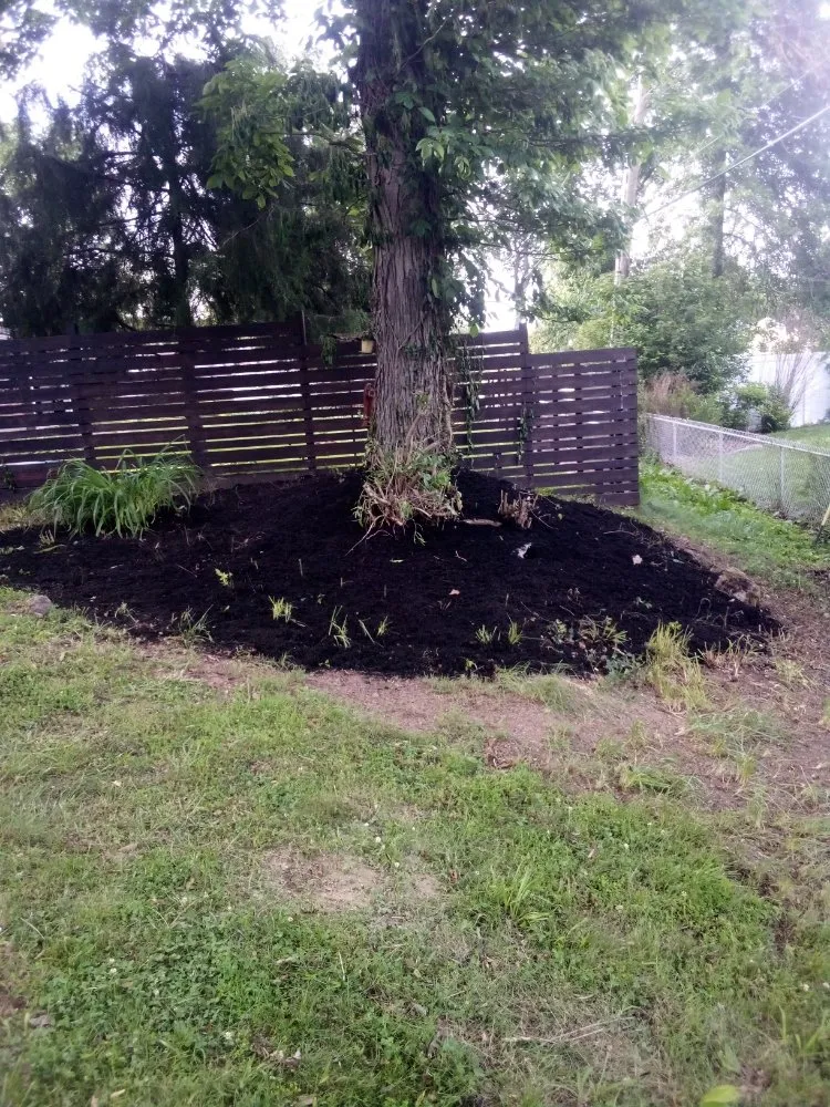 Top-rated lawn care service in Bloomington, IN by Jps Lawn Care