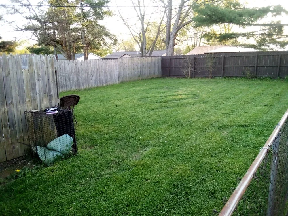 Professional landscape installation for beautiful yards across Bloomington, IN - Jps Lawn Care