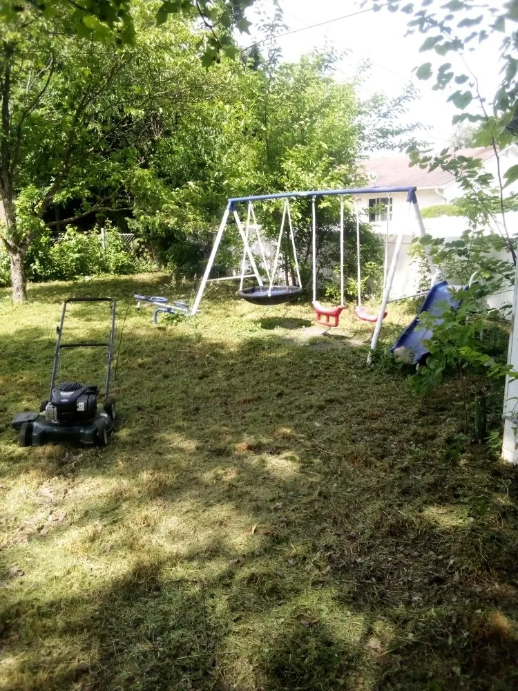 Affordable yard cleanup service experts serving Bloomington, IN - Jps Lawn Care