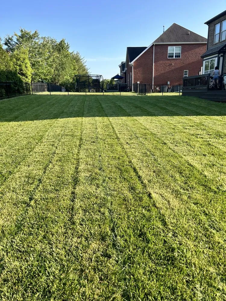 Expert yard cleanup service for residential properties across Hendersonville, TN - JP’s lawn care