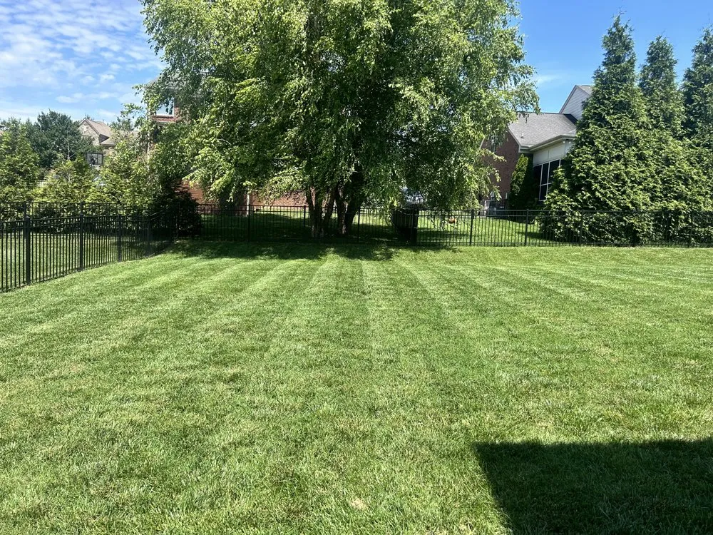 Top-rated landscaping services in Hendersonville, TN by JP’s lawn care