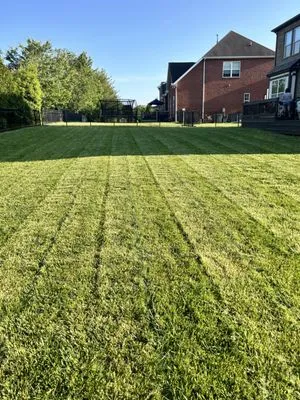 JP’s lawn care Logo