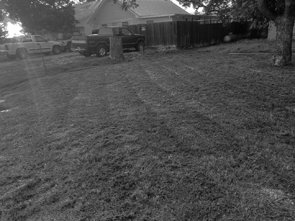 Expert yard maintenance experts serving Joshua, TX - JP’s Lawn Care