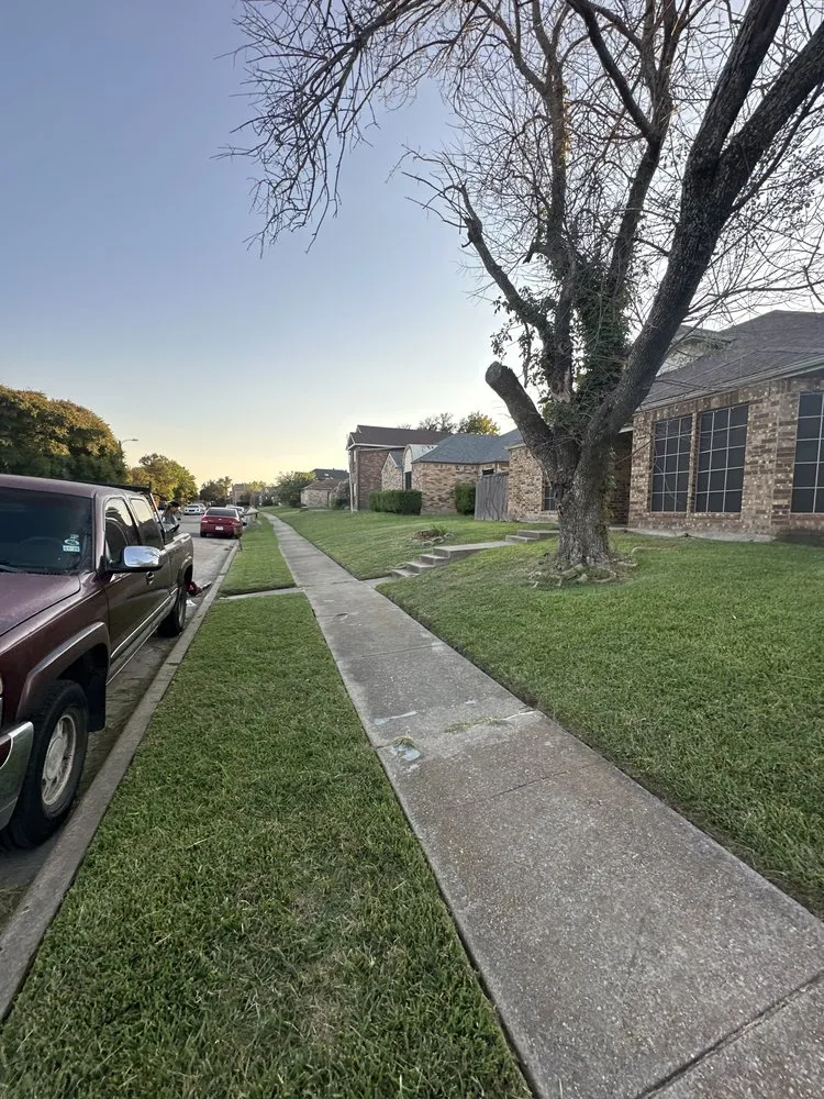 Expert landscape installation in Mesquite, TX - JP’s Lawn Care