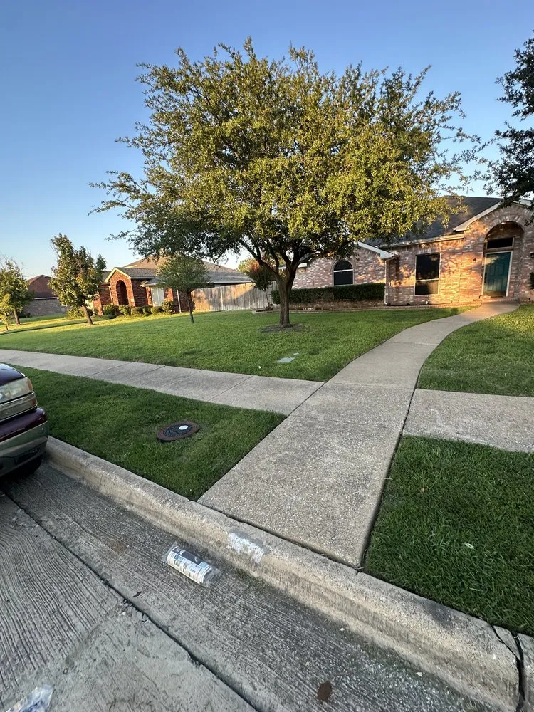 Top-rated landscape installation in Mesquite, TX by JP’s Lawn Care