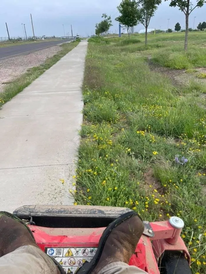 Expert landscaping services experts serving Odessa, TX - JP's Lawn Services