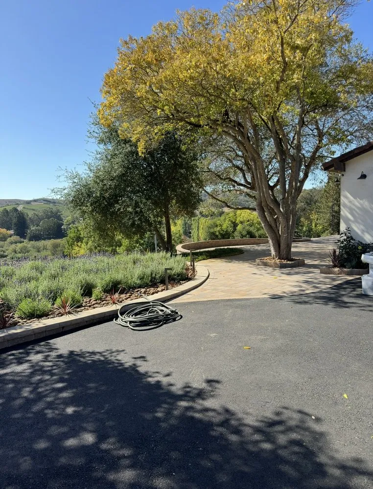 Local landscape design for beautiful yards in Richmond, CA by JP’s Service Co.